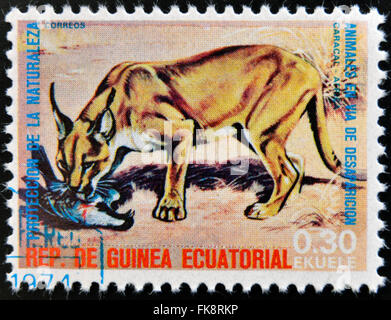 EQUATORIAL GUINEA - CIRCA 1974: Stamp printed in Guinea dedicated to endangered animals, shows caracal, Africa,  circa 1974 Stock Photo