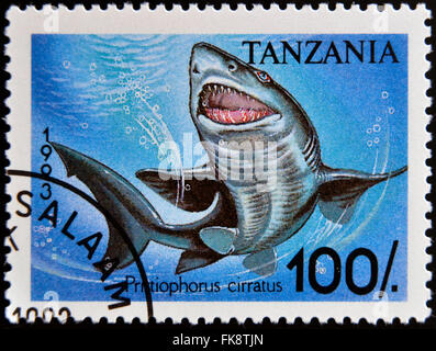 TANZANIA - CIRCA 1993: Stamp printed in Tanzania shows longnose sawshark, Pristiophorus cirratus, circa 1993 Stock Photo
