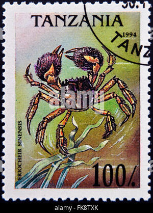 TANZANIA - CIRCA 1994: A stamp printed in Tanzania shows image of an Chinese mitten crab, Eriocheir sinensis, circa 1994 Stock Photo