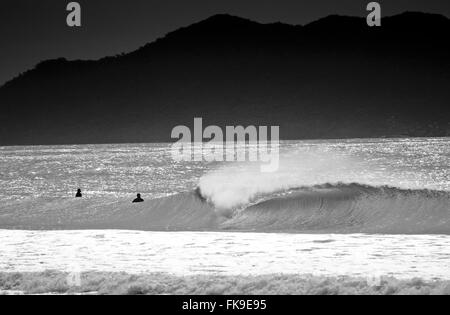 Surfers catching waves at the beach Brava - Santa Catarina Stock Photo