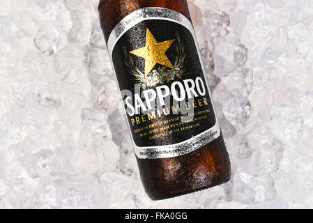 Sapporo Beer Bottle on a bed of Ice, Horizontal format closeup of the label, with copy space Stock Photo