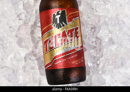 Tecate Beer Bottle on a bed of ice, Horizontal format closeup of the label. Stock Photo