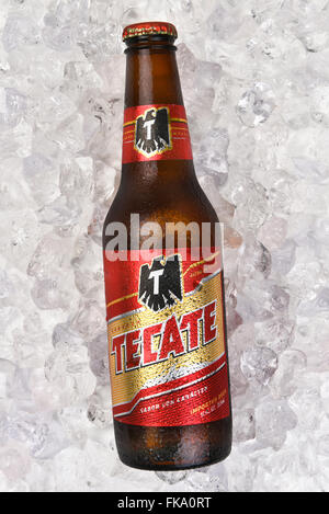 Tecate Beer Bottle on a bed of ice, Vertical format. Stock Photo