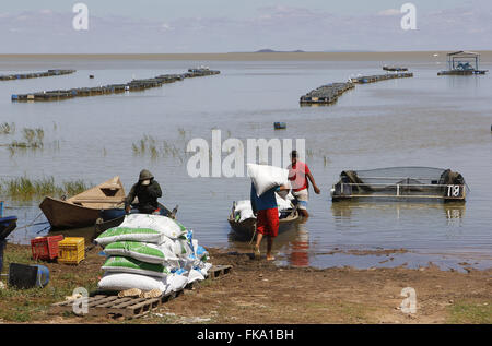 Workers carry ration for fish on Lake Power Plant Sobradinho Stock Photo