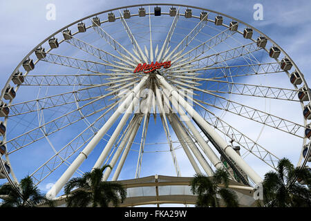 Ferris wheel of Asiatique is landmark of bangkok Stock Photo