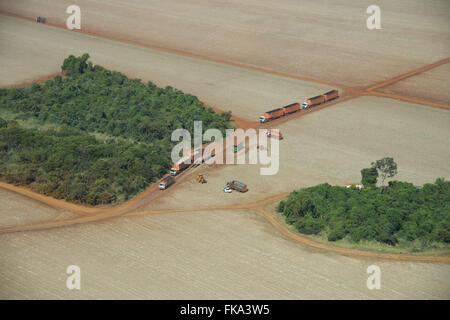 Forward work on mechanical harvesting of cane sugar in the countryside Stock Photo