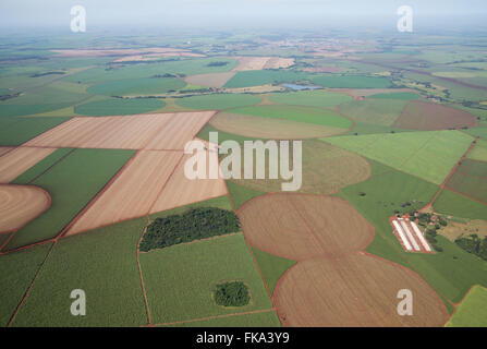 Aerial view of plantation of maize under central pivot irrigation Stock Photo