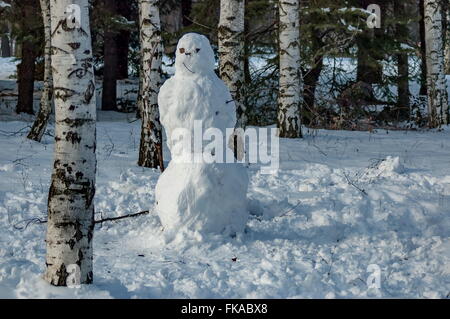 Snowman in South park, Sofia, Bulgaria, Europe Stock Photo