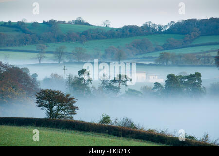 mist lying in the valley at Milborne Wick, Somerset, England Stock Photo