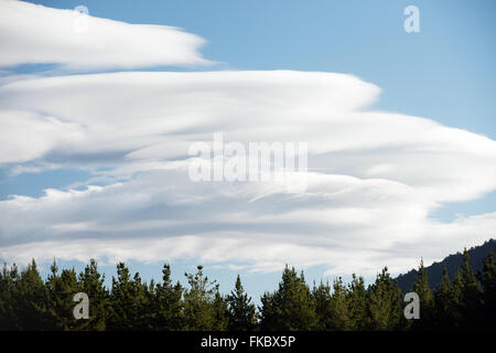 Rare clouds above trees on the blue sky Stock Photo