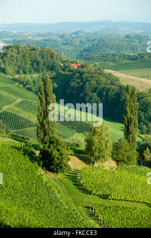 Österreich, Steiermark, Bezirk Leibnitz, Landschaft an der Südsteirischen Weinstrasse südlich von Gamlitz Stock Photo