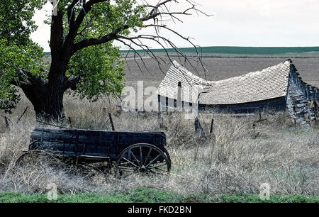A collapsed wooden cabin and an abandoned farm wagon surrounded by weeds beneath an age-old tree are the only remains of an early homestead on this lonely prairie in Nebraska, USA. The United States Homestead Act of 1862 allowed anyone at least 21 years old to settle on 160 acres (65 hectares) of public land in the West without charge. In order to get title to that federal land grant, the homesteader had to reside on, improve and farm the acreage for five years. Stock Photo
