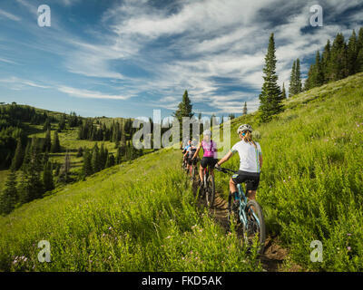 Parents with children (10-11,12-13, 14-15) during bike trip Stock Photo