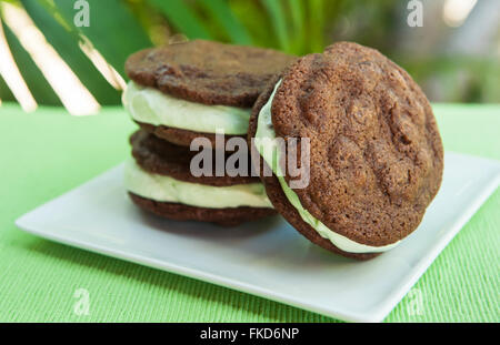 Ice cream Sandwich - double chocolate chip cookie with mint ice cream with tropical background Stock Photo