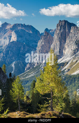 views over Cristallo and the Dolomite Mountains from Ciadin del Luodo,  Belluno Province, Veneto, Italy Stock Photo