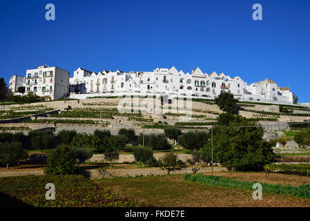 Terraced vineyards and town on hill Stock Photo