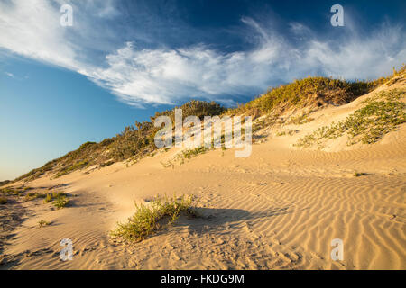 the beach at Port Gregory, West Australia Stock Photo