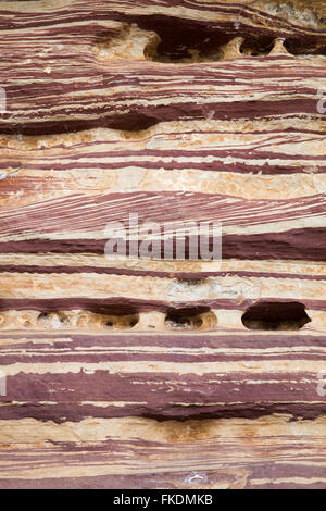 layers of rock in the Murchison River gorge at Ross Graham, Kalbarri National Park, Western Australia Stock Photo