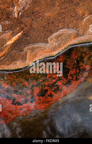 Kalamina Gorge, Karijini National Park, Pilbara, Western Australia Stock Photo