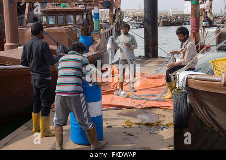 Fishermen tend their nets in Kuwait harbour Stock Photo