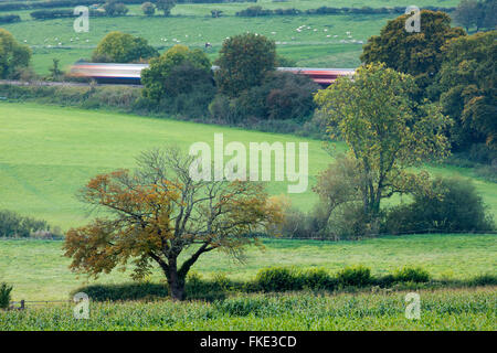 a train passing in amongst the autumn colours in the valley around Milborne Wick, Somerset, England, UK Stock Photo