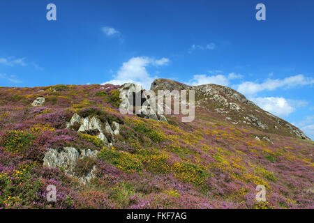 Scenery around lake Cregennan and Cadair Idris Gwynedd Wales Stock Photo