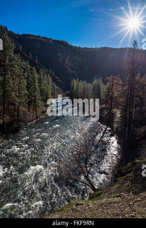 Wenaha River in Northeast Oregon.  The Grizzly Complex Fire moved through this area the prior year. Stock Photo