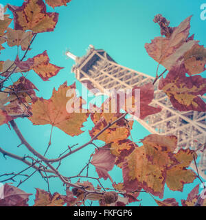 Eiffel Tower Against Fall Leaves Stock Photo