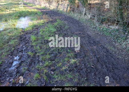 flooded and deeply rutted footpath Stock Photo