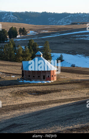 Round barn near Flora, Oregon.  An elk herd is visible on the open slope in the background. Stock Photo
