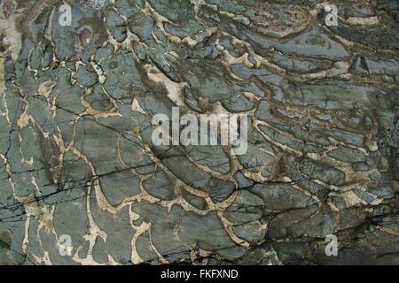 Boulder surface texture in shades of grey and yellow - top view. Stock Photo