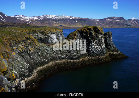 Shoreline and cliffs of Arnarstapi nature reserve with birds nesting. Snaefellsness Peninsula, Iceland Stock Photo