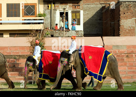 Parade During elephant festival during holi,Hindu celebration in Jaipur,Rajasthan,India,Asia. Stock Photo