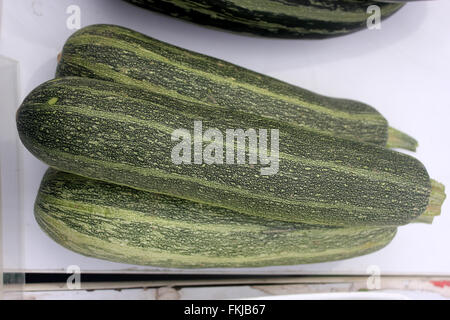 Cucurbita pepo, Australian Green summer squash, cultivar with cylindrical fruits, dak green with light greens stripes and dots Stock Photo