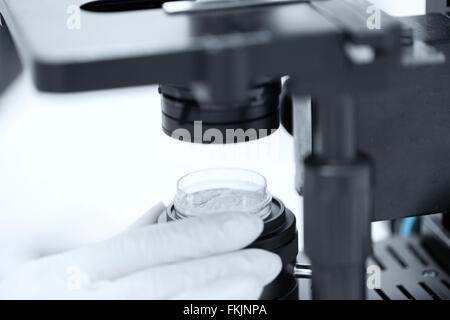 close up of hand with microscope and powder sample Stock Photo