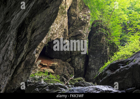 Cave entrance and big cliffs in the forest Stock Photo