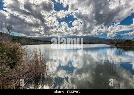 Clouds and sky reflected in the water of Lac de Padula near Oletta in norther Corsica with rushes in the foreground Stock Photo