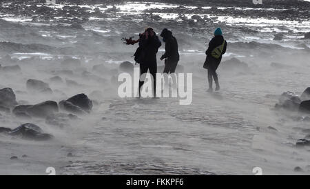 Marazion beach, Cornwall, UK. 9th March, 2016. UK Weather: Visitors and workmen returning from St Michael's Mount being sand blasted by the wind blown sand at Marazion beach in West Cornwall today (Wed). Credit:  Dorset Media Service/Alamy Live News Stock Photo