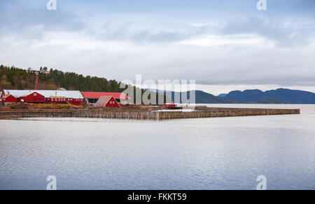 Traditional Norwegian fish farm with red wooden houses on the seacoast Stock Photo