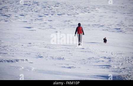 A hiker and their dog walking over a snow covered mountain in the Cairngorms, Scottish Highlands, UK. Stock Photo