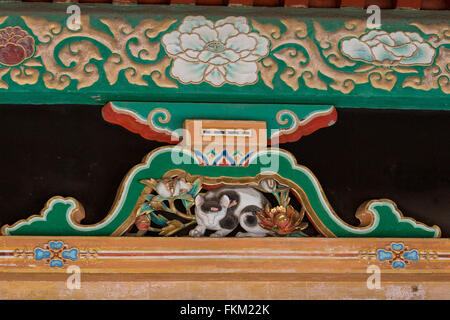 Nemurineko hi-res stock photography and images - Alamy