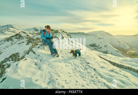 A hiker resting on the mountains tops with their dog in the UK. Grain and colour styling applied Stock Photo