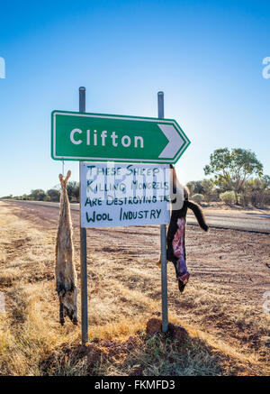 shot wild dogs displayed by an angry grazier on a road sign on the Diamantina Developmental Road between Quilpie and Windorah
