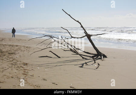 Standing Man and Tree shipwrecked on the beach Stock Photo