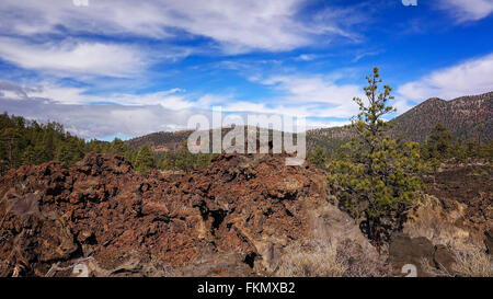 An ancient lava flow covers the ground at Sunset Crater National Monument in Arizona Stock Photo