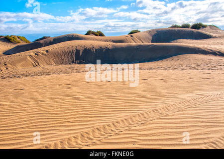 View on sunny Maspalomas dunes in Gran Canaria in daytime. Cloudy sky on background. Stock Photo