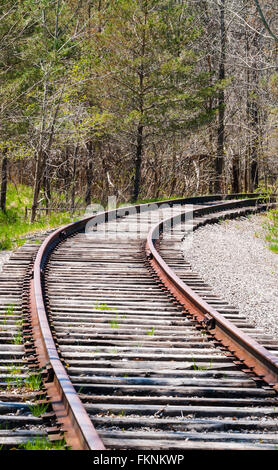 Train tracks curving right into trees. Stock Photo