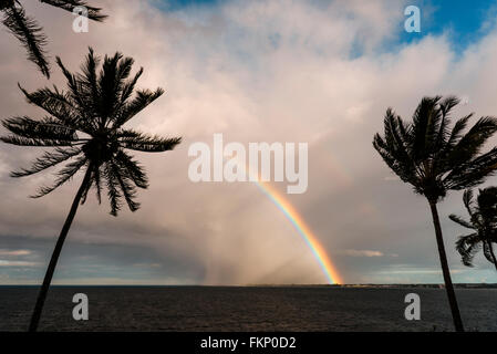 Tropical storm and bright rainbow with palm trees over the ocean in Hilo, Hawaii, USA Stock Photo