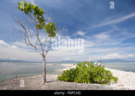 Breathaking view of Fastofiri Island in the Maluku Islands (Moluccas) of eastern Indonesia. Stock Photo