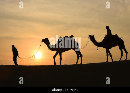 Silhoutte of Camel Trader in the Thar Desert during sunrise. Thar ...